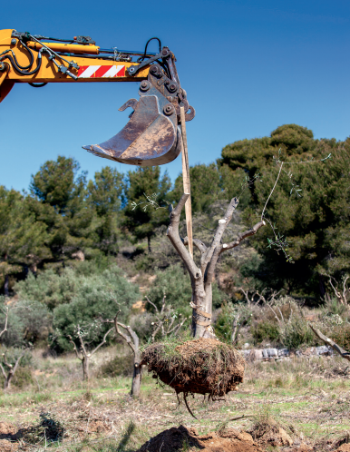 protection de la biodiversité, solaris civis